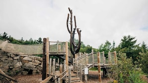 Une structure en bois avec un mur de pierre et un pont de corde.