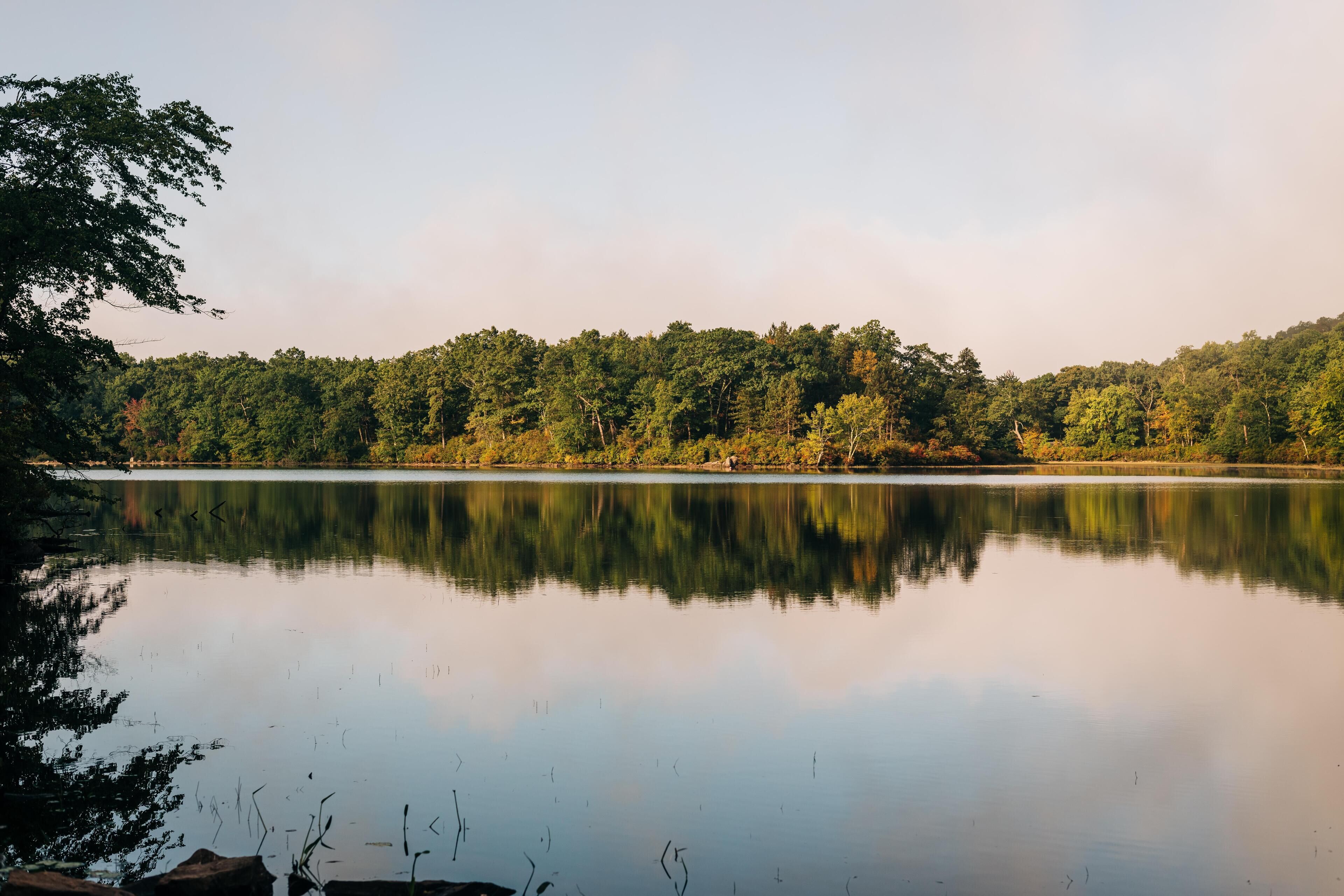 A calm lake with dense forest on the opposite shore.
