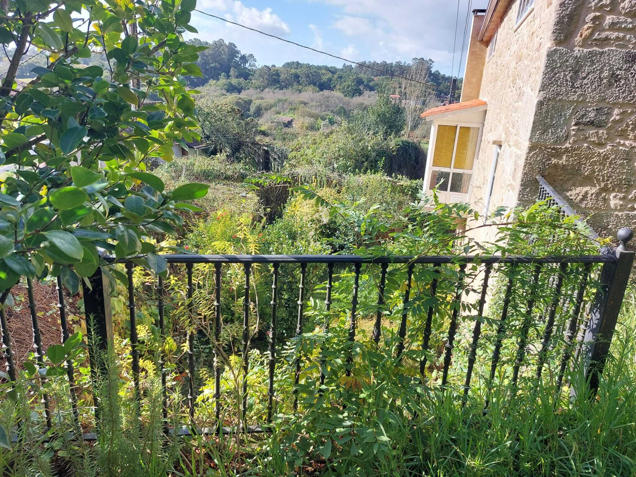Ein Garten mit verschiedenen Pflanzen und einem Steinhaus im Hintergrund.