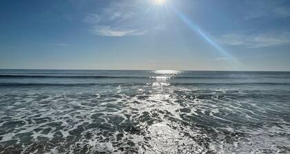 Villa Mer -50 m from the Sea-Swimming Pool Cff- 12 to 14 P,Enclosed Garden-Quiet