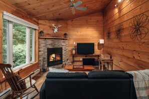 TV, fireplace, books