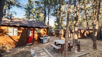 BBQ/picnic area