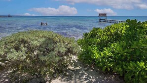 Une plage à l’eau cristalline, une jetée en bois et une végétation luxuriante.