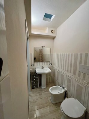 Een douche, een haardroger, een bidet, handdoeken