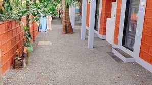 Un patio con suelo de grava, una palmera y un muro de ladrillo.