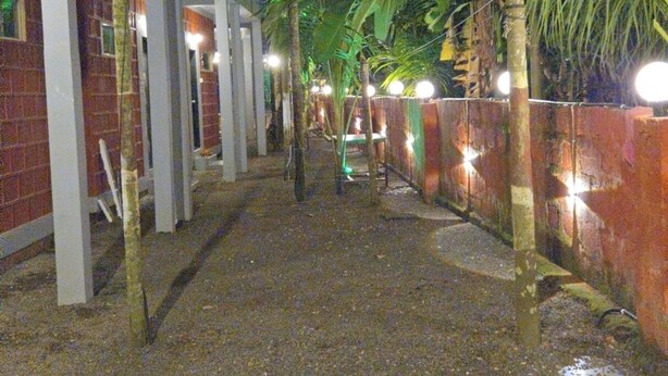 Un pasillo bordeado de palmeras y un edificio de ladrillo con pilares blancos.