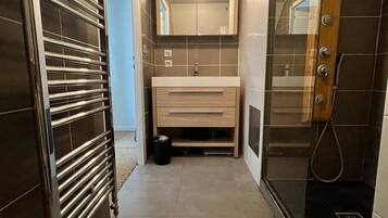 Shower, hair dryer, towels