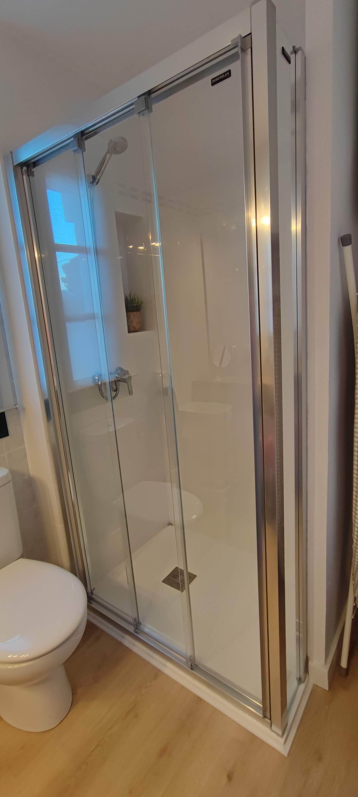 Une douche en verre avec un panneau de commande, des toilettes et une petite plante en pot à l’arrière-plan.