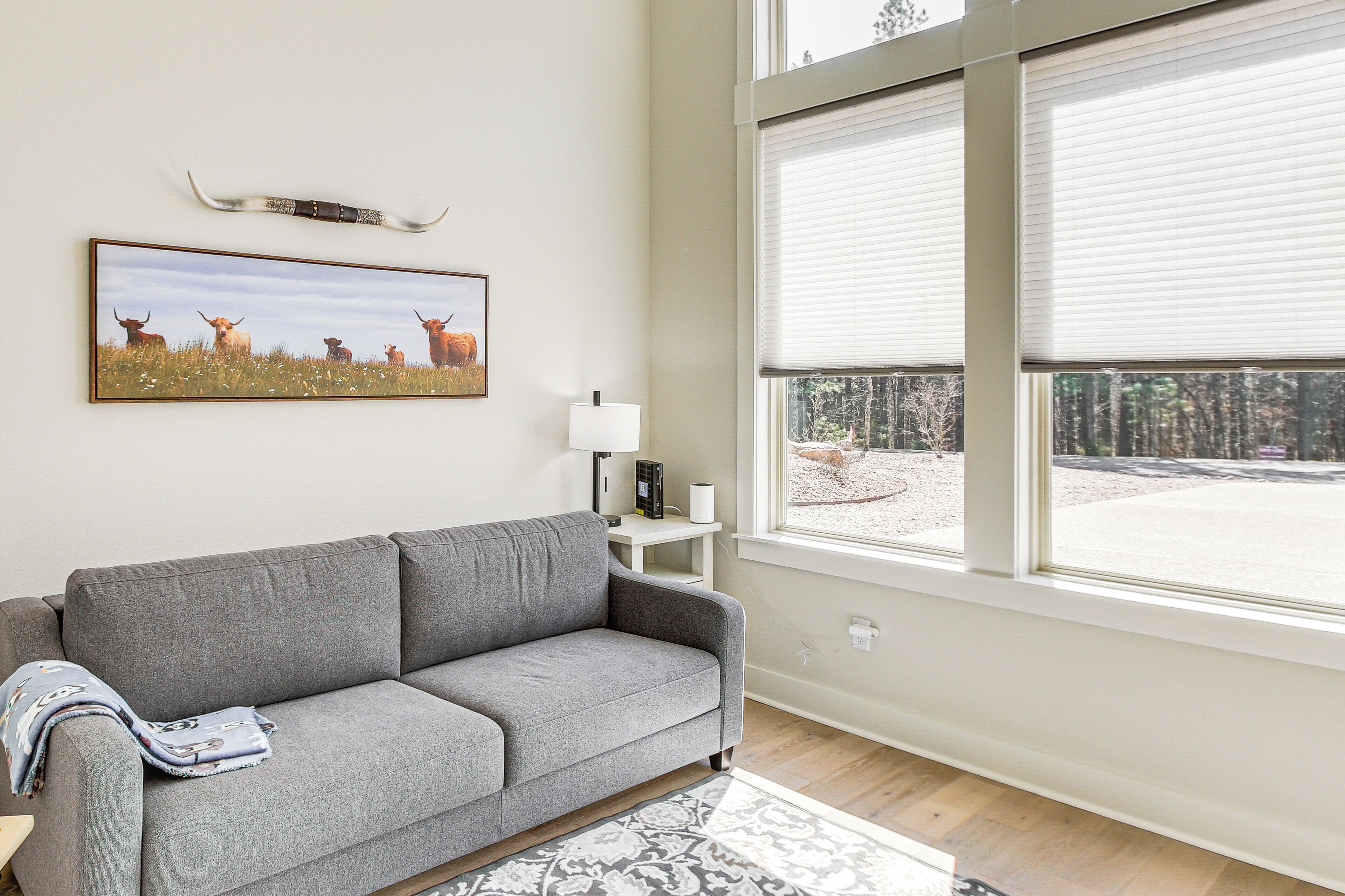 A living room with a grey sofa, a patterned rug, a framed picture of cattle, a lamp, and a window with blinds.