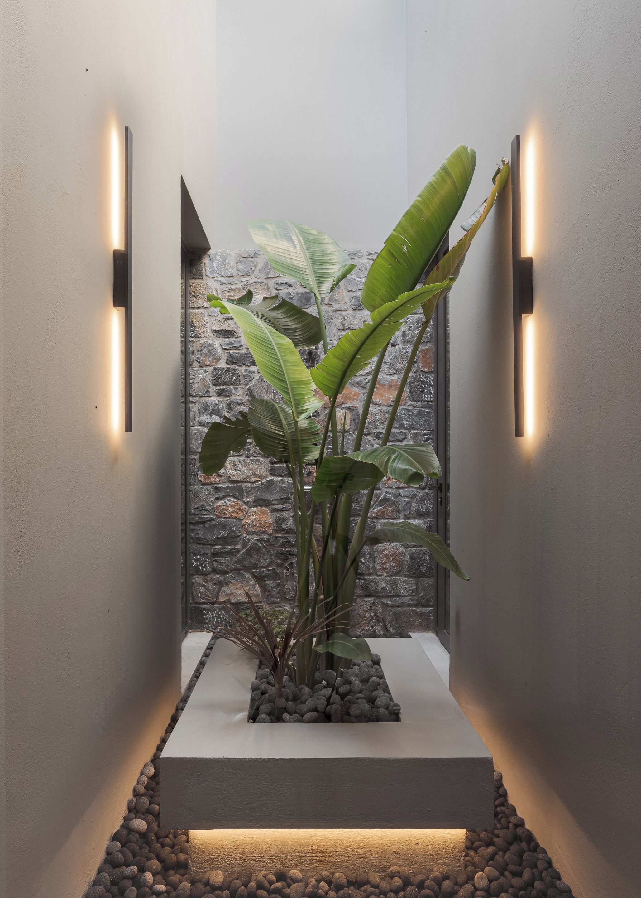 Un jardín interior moderno con pared de piedra de fondo, iluminado por luces empotradas, y una maceta con hojas verdes grandes.