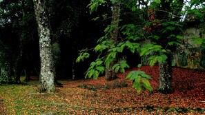 Jardines del alojamiento