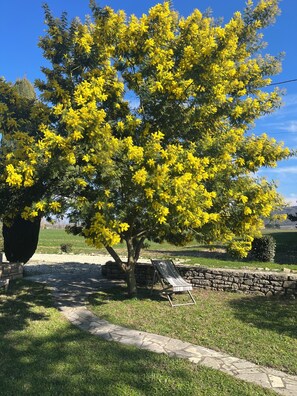 Property grounds - Provencal house with swimming pool in the countryside on 5000m2 of land (Montélimar)