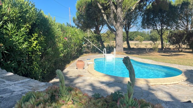 A swimming pool surrounded by stone tiles, with a potted plant and a group of artichokes in the foreground. - Provencal house with swimming pool in the heart of nature on 5000m2 of land (Montélimar)