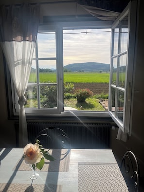 Ein Zimmer mit Fensterblick auf eine grüne Wiese und Hügel, ein Tisch mit Blumenvase und eine Heizung.