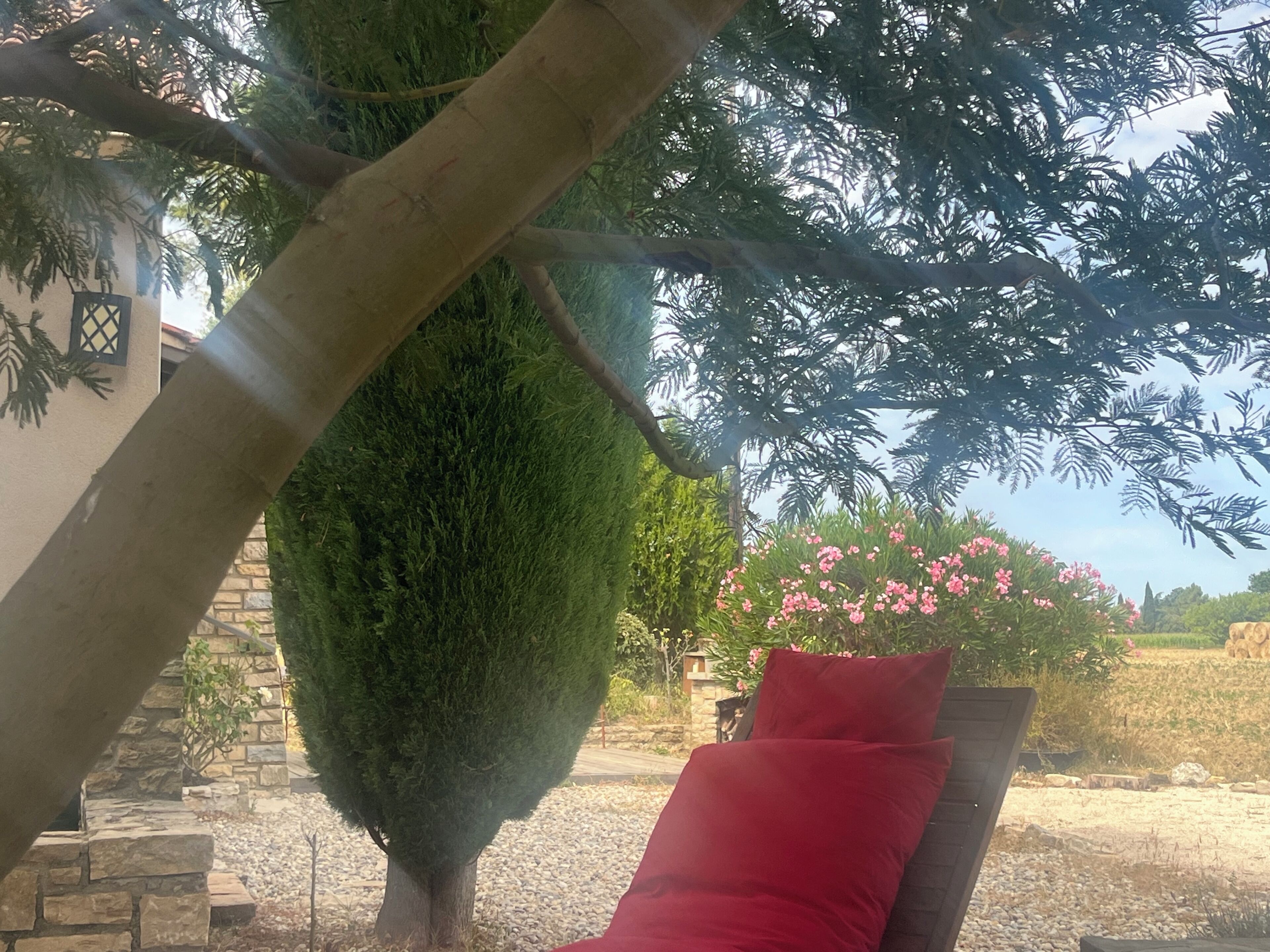 Un jardín con un seto cuidado, un muro de piedra y un cojín rojo en un banco.