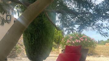 Un jardín con un seto cuidado, un muro de piedra y un cojín rojo en un banco.