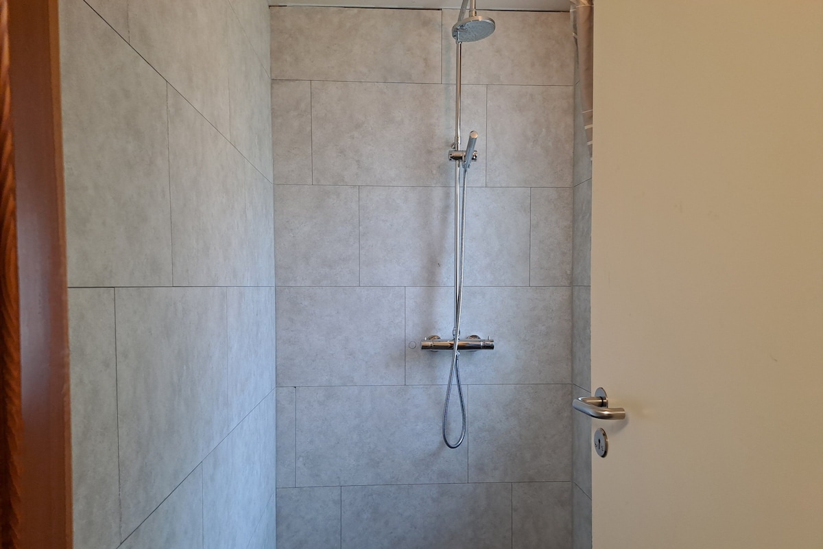 A shower with a handheld showerhead and a wall-mounted faucet.