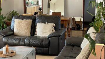 TV connectée, cheminée, chaßne hi-fi