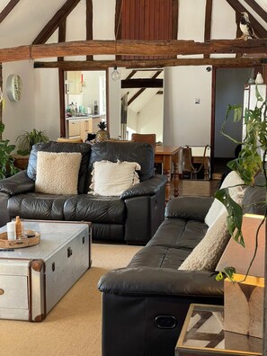 TV connectée, cheminée, chaîne hi-fi