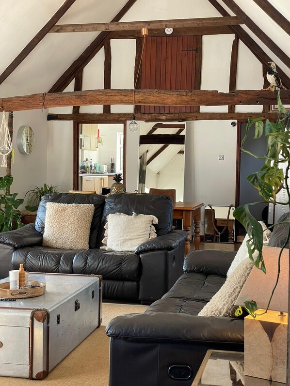 TV connectée, cheminée, chaîne hi-fi