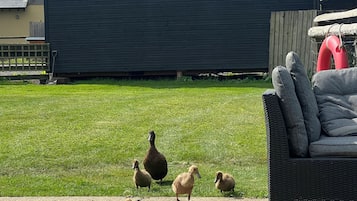 Enceinte de lâhĂ©bergement