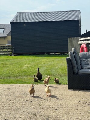 Enceinte de l’hébergement