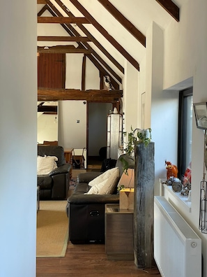 TV connectée, cheminée, chaîne hi-fi