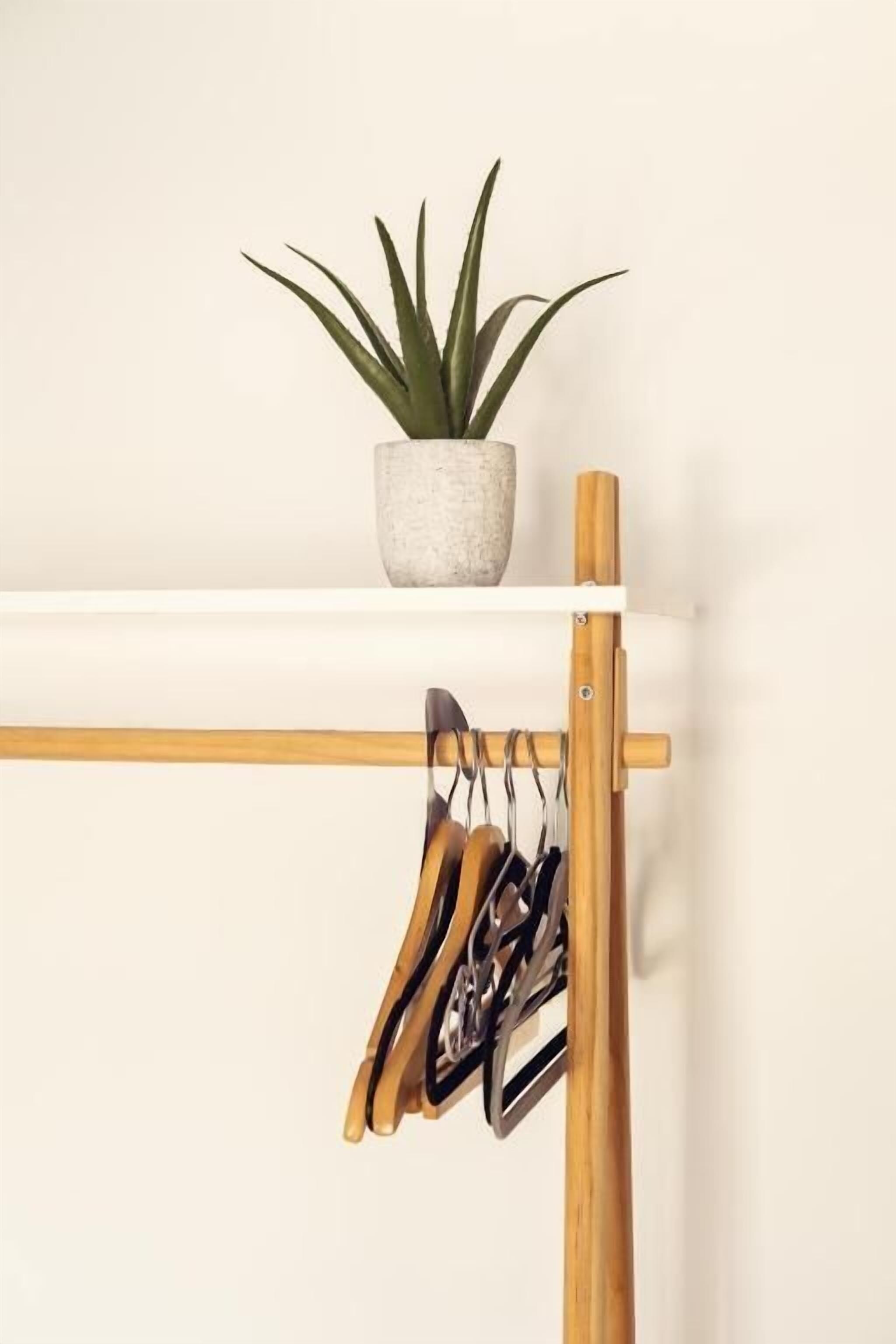 Un perchero de madera con zapatos colgando, una planta en maceta sobre un estante y una pared blanca al fondo.
