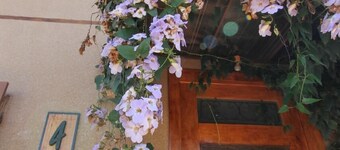 POUSADA JARDIM BOTANICO