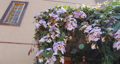 POUSADA JARDIM BOTANICO