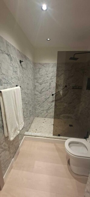 Hair dryer, towels, soap, toilet paper