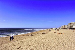 Pantai berhampiran, pasir putih, payung, tuala pantai 