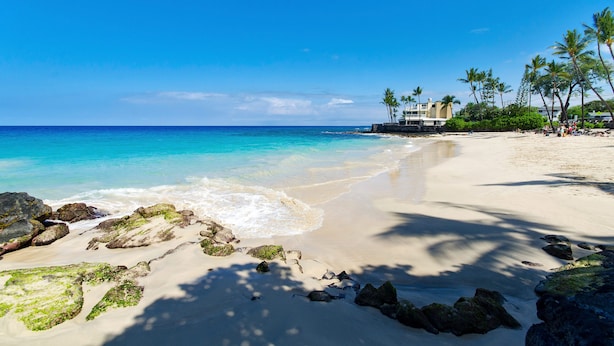 Une plage à l’eau turquoise et limpide, avec un rivage sablonneux et des palmiers.