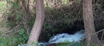Molino Alto Vergara
