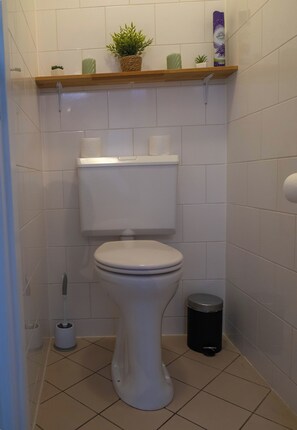 Shower, hair dryer, towels, toilet paper