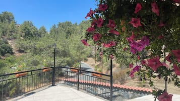 Villa, 3 Bedrooms, Terrace | Garden