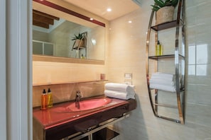 Shower, hair dryer, bidet, towels