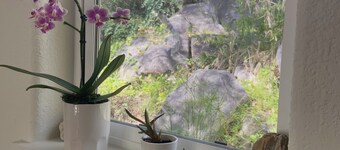 Charming private studio on the river and gateway to Sequoia National Park.