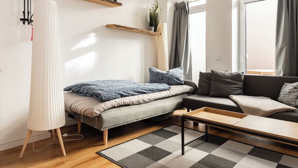 Un soggiorno moderno con un divano, un letto, un tavolino da caffè e un termosifone. Ci sono scaffali con piante e una finestra con tende.