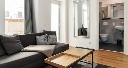 Vaulted apartment with terrace in Dresden Neustadt Your stylish temporary home