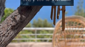 A sign with the text "Ici, c'est le Paradis" attached to a tree branch.