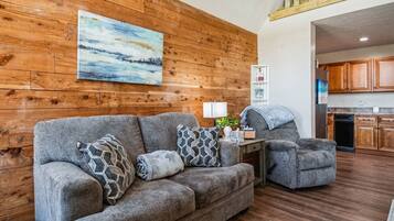 Télévision, cheminée, baby-foot, livres