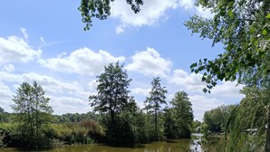 A calm river with trees and greenery on both sides. - ' t Bed en tafel (Avelgem)