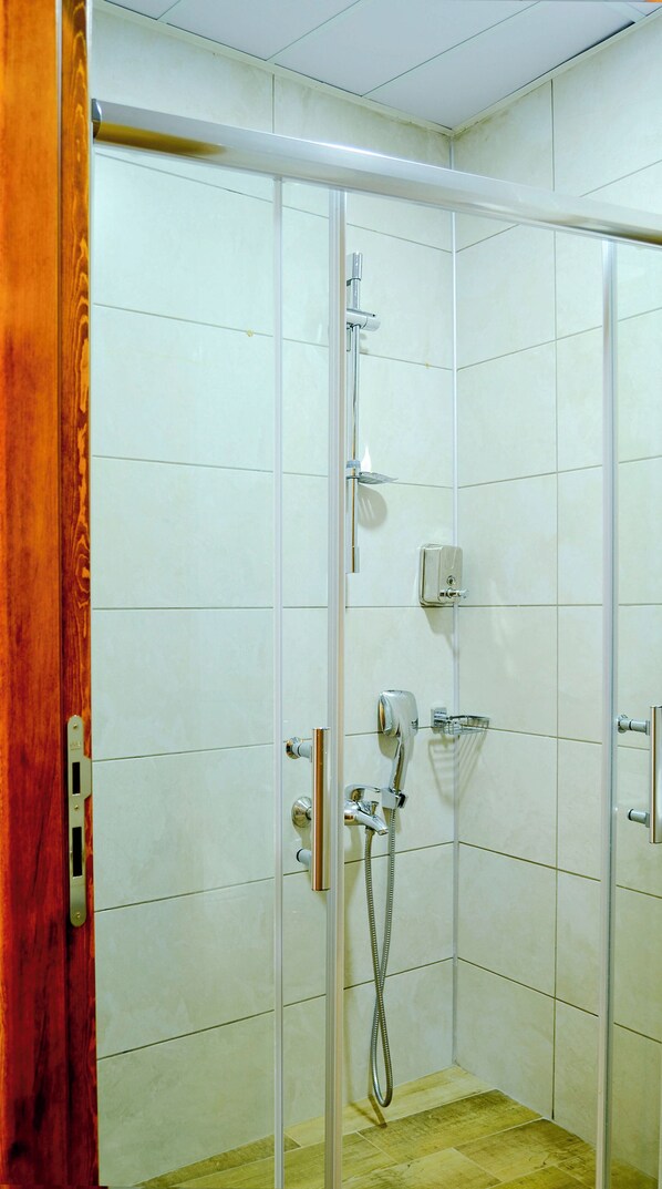 Una ducha a nivel con puerta de vidrio, cabezal de ducha de mano y rociador de mano.