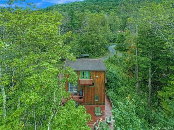 Exterior - Colonels Cabin Sauna Fireplace Mountain Views (Lanesville)