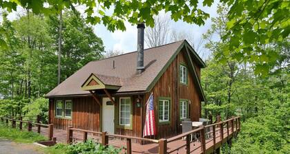 Colonels Cabin Sauna Fireplace Mountain Views