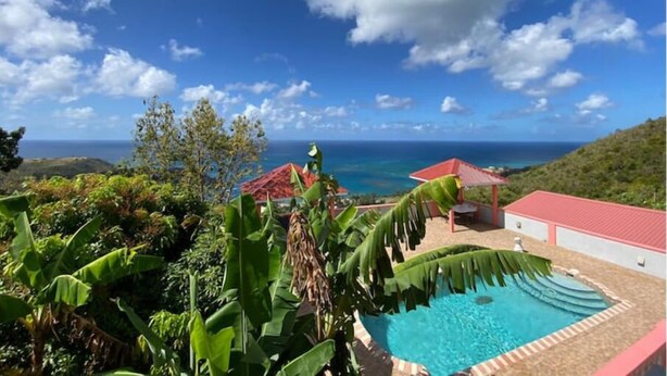 Ein Poolbereich mit Blick auf das Meer, umgeben von üppiger Vegetation und einem Gebäude mit rotem Dach.