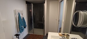 Shower, hair dryer