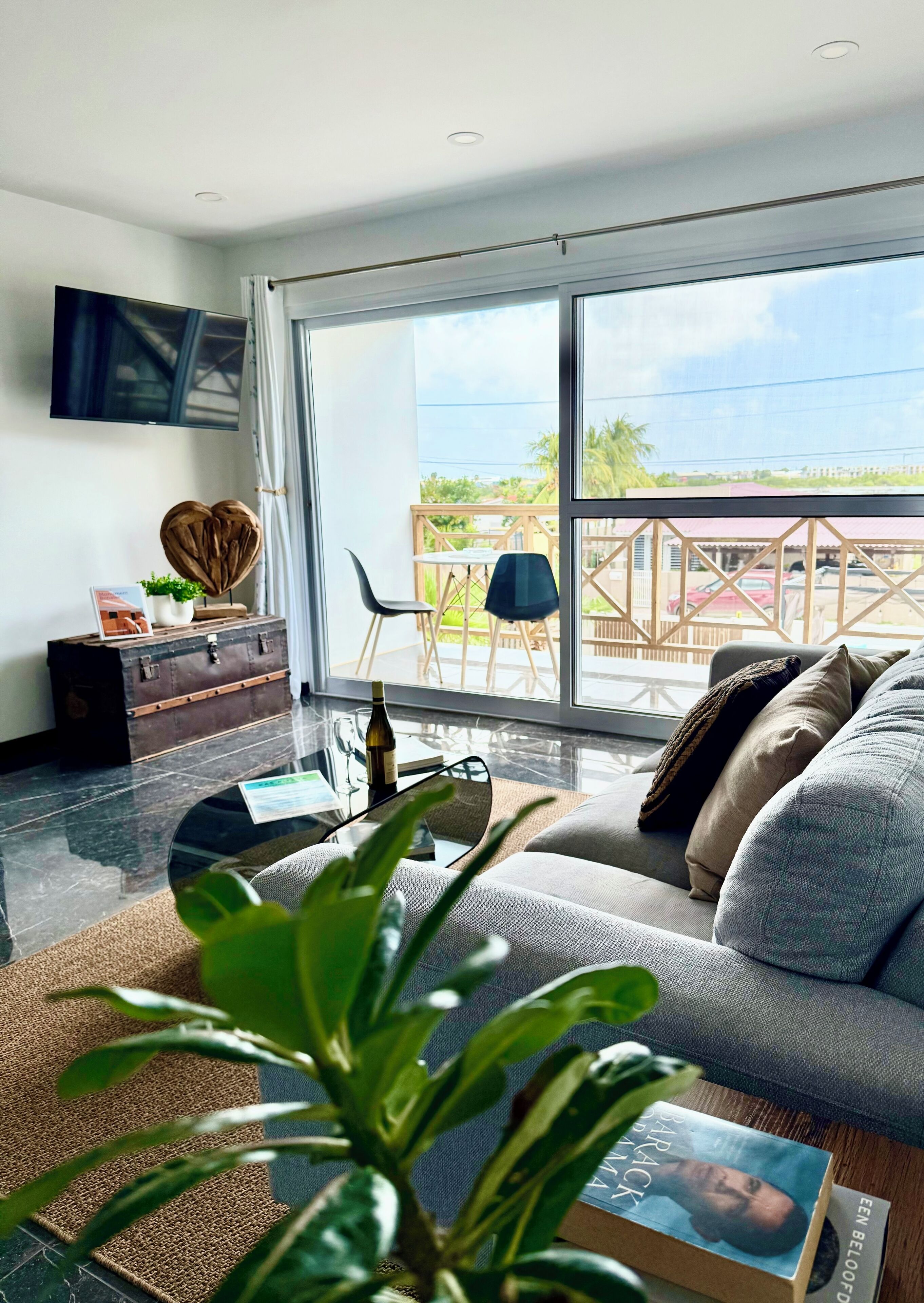 TV connectée, livres