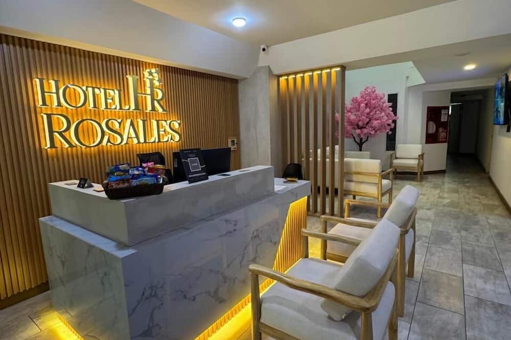 Hotel Rosales Suites